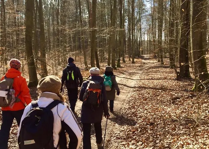 Maisonetten * 라인스베르크